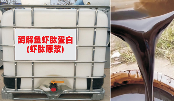 ø���r�ĵ���