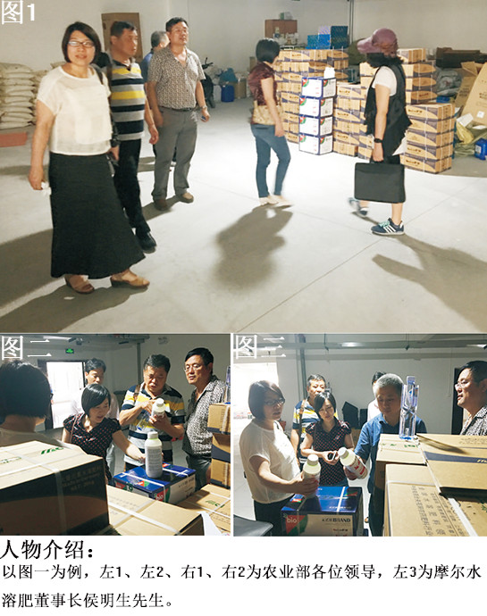 1011111.jpg 1011111.jpg