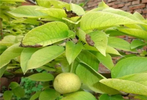 ���(sh��)ȱ���a(b��)�ʷ�ʽ