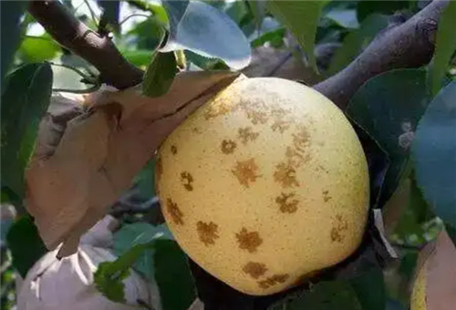 ���(sh��)ȱ�}�Y��