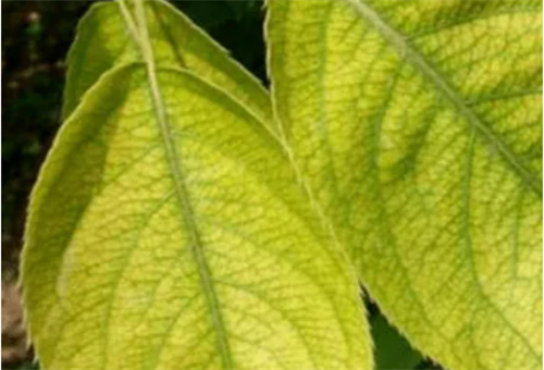 ���(sh��)ȱ⛰Y��