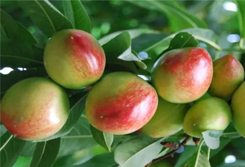 ����ȱ�}���F