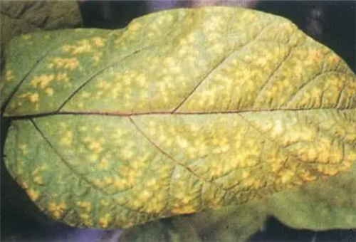 ����ȱ⛱��F