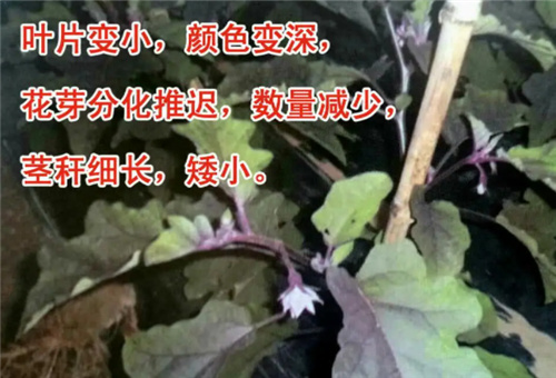 ����ȱ�ױ��F