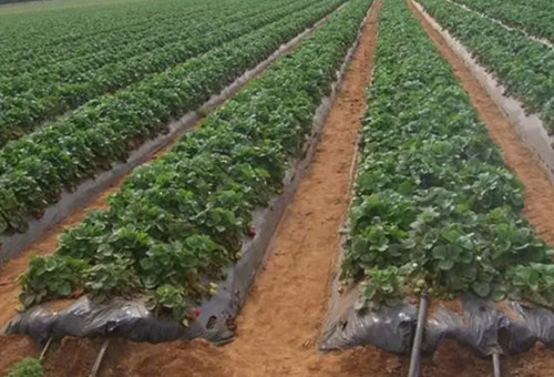 Һ�w�ʵι��O(sh��)ʩ���bЧ���D