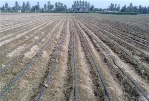 ø���~�����÷�