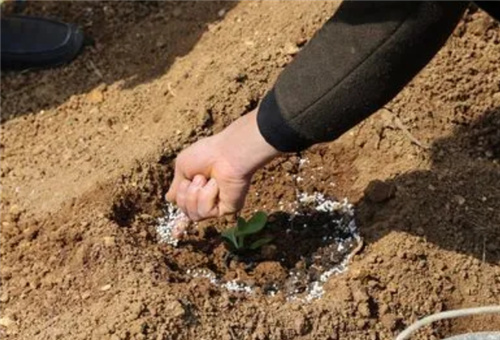 �~�r���׷�ʹ��ǰ��