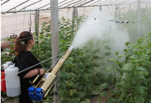 �~��ԭ�{�÷�