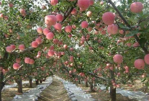 �~�ĵ����m������