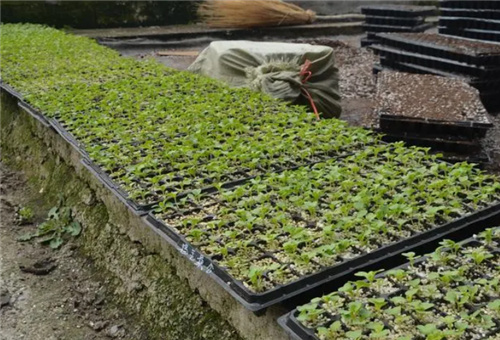 �~�ĵ��׷�����