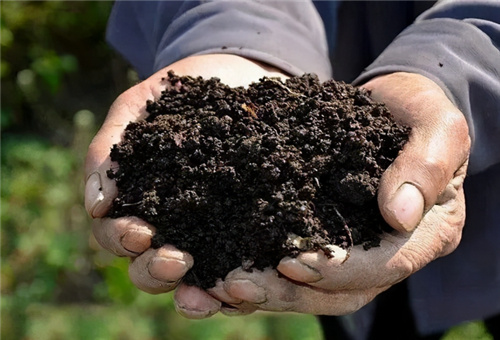 �~���׷ʸ�������