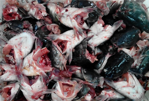 �~�ĵ��׷�ԭ��