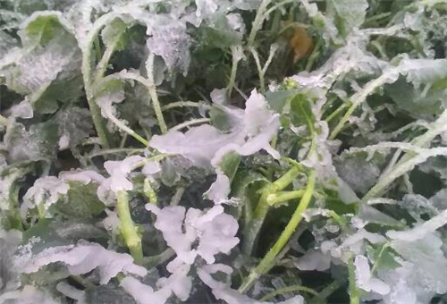 �~����������;