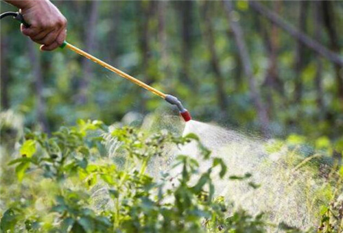 �~����ʹ��ע��