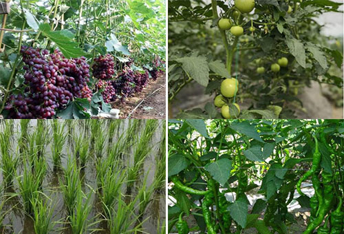 �~�����m������