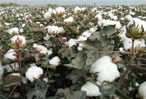 ���w���m���޻�