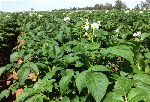 ���w���m������