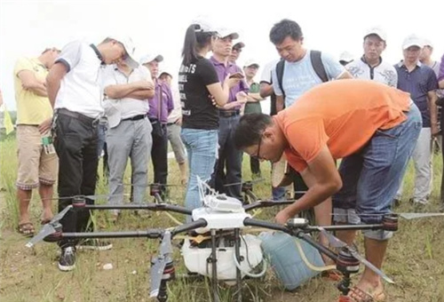 Һ�w�������