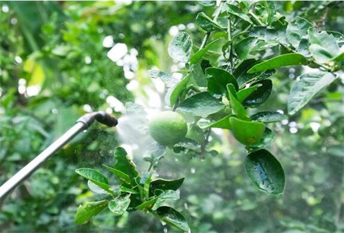 Һ�w��ʩ��ע��