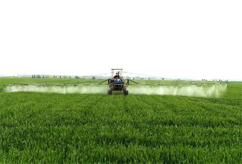 ���w����С�����÷�