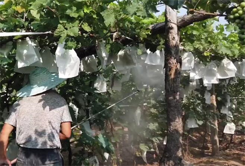 ���w���m������