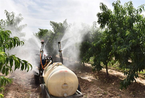 ���w�}�÷�