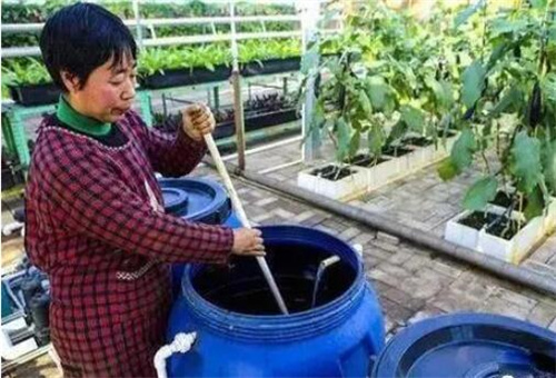 ���w�}�÷�