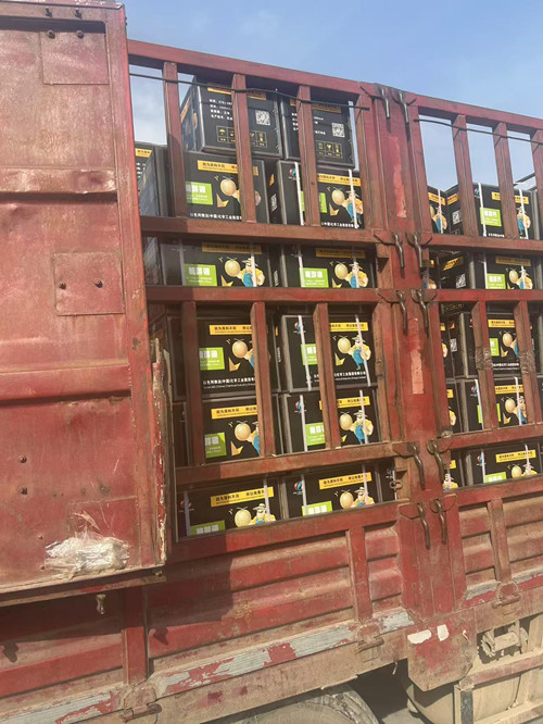 �İ������Ǵ����ϰl؛������3