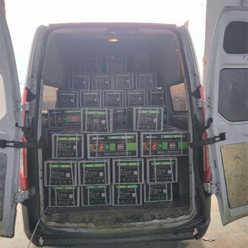 ��˾��͑���؛���T1