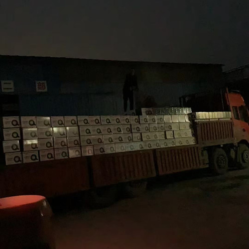 600�����w�������b܇3