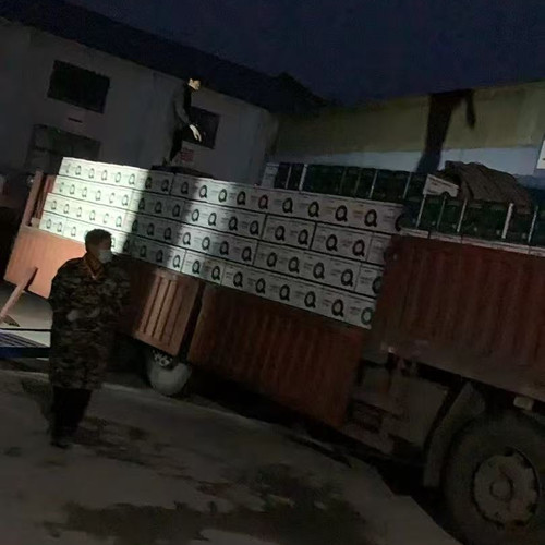 600�����w�������b܇2